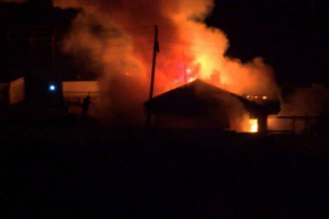 W jednym ze schronisk dla zwierząt spalił się na setkach psów W jednym ze schronisk dla zwierząt spalił się na setkach psów